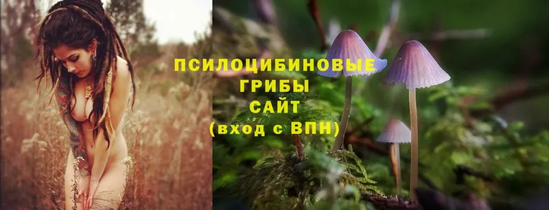 Галлюциногенные грибы MAGIC MUSHROOMS  ссылка на мегу ссылка  Зубцов 